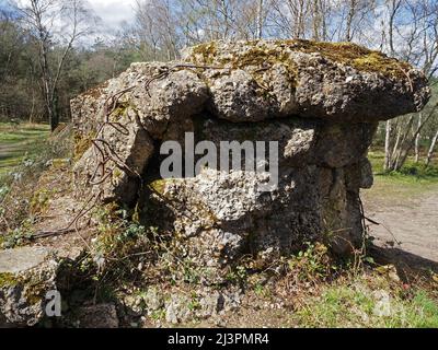 Die Atlantikmauer eine WW2 trainingsstarke Verteidigungsmauer in Hankley Common, Thursley, Surrey, England, Großbritannien. Stockfoto