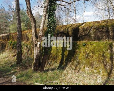 Die Atlantikmauer eine WW2 trainingsstarke Verteidigungsmauer in Hankley Common, Thursley, Surrey, England, Großbritannien. Stockfoto