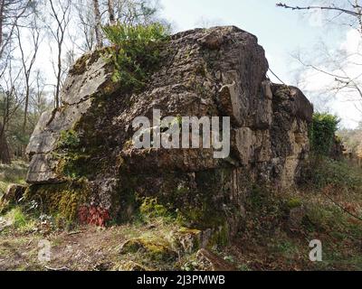 Die Atlantikmauer eine WW2 trainingsstarke Verteidigungsmauer in Hankley Common, Thursley, Surrey, England, Großbritannien. Stockfoto