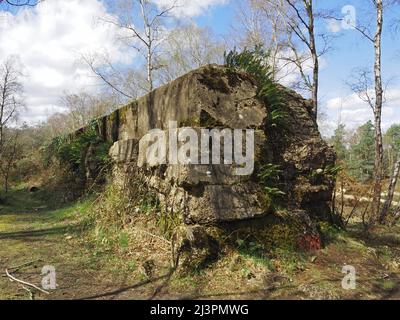 Die Atlantikmauer eine WW2 trainingsstarke Verteidigungsmauer in Hankley Common, Thursley, Surrey, England, Großbritannien. Stockfoto