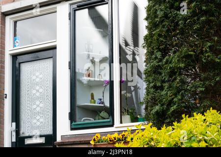 Weesp, Niederlande. 09 april 2022. Spiegelung von sich drehenden Windmühlenklingen in einem Fenster eines Hauses am Utrechtseweg während eines Rekordversuchs der freiwilligen Millers Guild, alle niederländischen rotierenden Wind- und Wasserturbinen in den Niederlanden zwischen 11:00 und 12:00 Uhr gleichzeitig laufen zu lassen. Mehr als 800 Mühlen nahmen daran Teil, darunter 29 Mühlen im Ausland. Kredit: Steppeland/Alamy Live Nachrichten Stockfoto