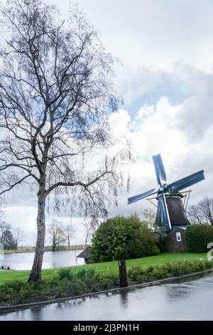 Weesp, Niederlande. 09 april 2022. Windmühle 'de Eendragt' entlang des Utrechtse-Weges und des Flusses Vecht, mit rotationg Klingen. Die Gilde der freiwilligen Millers wird 2022 50 Jahre alt. Um die Bedeutung des Müllerhandwerks zu unterstreichen, wurde ein Rekordversuch unternommen, alle rotierenden Wind- und Wasserturbinen in den Niederlanden zwischen 11:00 und 12:00 Uhr gleichzeitig laufen zu lassen. Fast 800 Mühlen nahmen daran Teil. Kredit: Steppeland/Alamy Live Nachrichten Stockfoto