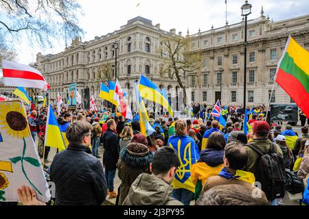 London, Großbritannien. 9. April 2022. Mehrere hundert Demonstranten gegen die russische Invasion und den Krieg in der Ukraine haben sich gegenüber der Downing Street in Whitehall versammelt. Kredit: Imageplotter/Alamy Live Nachrichten Stockfoto