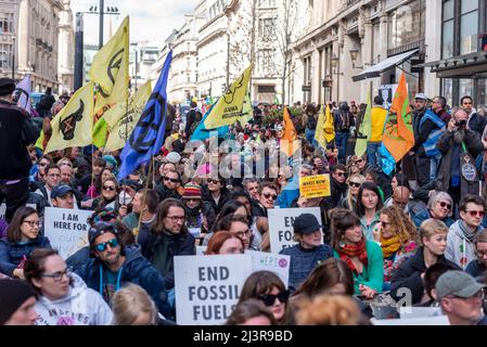 Westminster, London, Großbritannien. 9. April 2022. Extinction Rebellion Demonstranten blockieren Straßen und stören den Verkehr im Zentrum Londons, einschließlich Oxford Street, Regent Street und Westminster Stockfoto