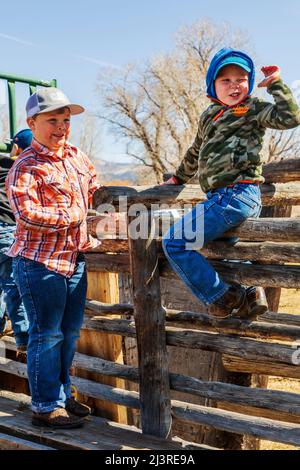 Ranch-Kinder spielen auf der Hutchinson Ranch in der Nähe von Salida im Frühjahr beim Branding Event: Colorado; USA Stockfoto