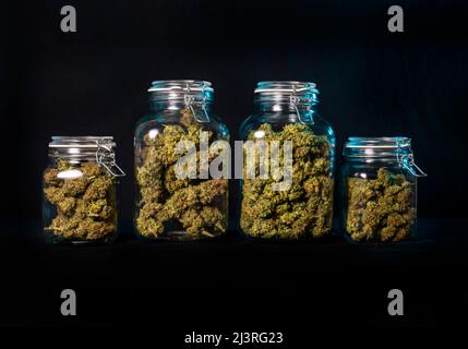 Getrocknete Cannabisknospen, die in einem Glasgefäß auf schwarzem Hintergrund aufbewahrt werden Stockfoto