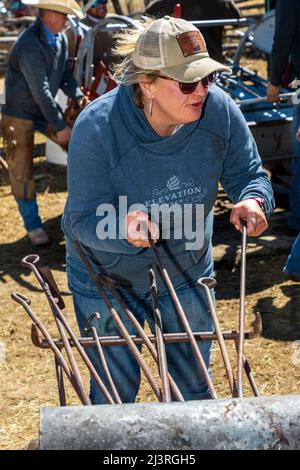 Cowgirl & Ranchbesitzer Abby Hutchinson in sechster Generation; heizt Branding-Eisen; Frühlingsbrandmarken auf der Hutchinson Ranch in der Nähe von Salida: Colorado; USA Stockfoto