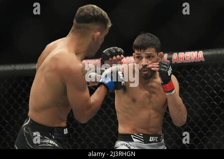 JACKSONVILLE, FL - 9. APRIL: (R-L) Julio Arce kämpft am 9. April 2022 in Jacksonville, Florida, USA, gegen Daniel Santos in ihrem Catchweight-Kampf während des UFC 273-Events in der Vystar Memorial Arena. (Foto von Louis Grasse/PxImages) Credit: Px Images/Alamy Live News Stockfoto