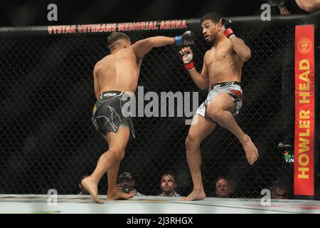 JACKSONVILLE, FL - 9. APRIL: (L-R) Daniel Santos schlägt Julio Arce in ihrem Catchweight-Kampf während des UFC 273-Events in der Vystar Memorial Arena am 9. April 2022 in Jacksonville, Florida, USA. (Foto von Louis Grasse/PxImages) Credit: Px Images/Alamy Live News Stockfoto