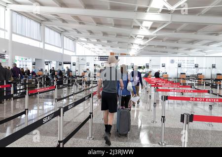 SeaTac, Washington, USA. 9.. April 2022. Freiwillige nehmen während einer Passagierflussimulation an der International Arrivals Facility am Seattle-Tacoma International Airport an einer Sicherheitsüberprüfung Teil. Die neue 450.000 Quadratmeter große Anlage des Hafens von Seattle wird voraussichtlich nächsten Monat nach Abschluss der endgültigen Betriebsbereitschaftstests eröffnet. Quelle: Paul Christian Gordon/Alamy Live News Stockfoto