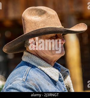 Cowboy, der bei einer Frühlingsmarkenveranstaltung auf der Hutchinson Ranch in der Nähe von Salida in Colorado, USA, arbeitet Stockfoto