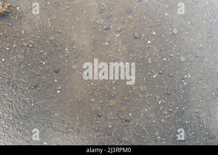 Blick von oben in die elbe mit Wasser, Schmutz und kleinen Steinen. Blick durch das klare Wasser auf den Boden. Brauner Boden ist sichtbar. Stockfoto