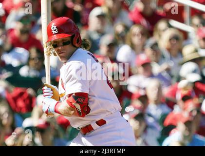 St. Louis, Usa. 09. April 2022. St. Louis Cardinals Harrison Bader bewegt sich, kann aber nicht aus dem Weg eines Pittsburgh Pirates Pitcher Roansy Contreras Pitch im fünften Inning im Busch Stadium in St. Louis am Samstag, 9. April 2022. Foto von Bill Greenblatt/UPI Credit: UPI/Alamy Live News Stockfoto