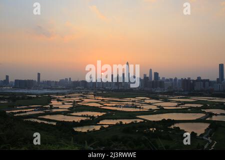 Shenzhen Skyline , mit Wolkenkratzern und Büro gegenüber Fischfarm oder Fischteichen, während dramatischen Moment am Abend, aus dem Blick auf die Grenze von Hong K Stockfoto