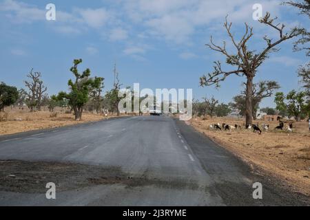 Schlechter werdende Straßenoberfläche auf asphaltierter Autobahn, in der Nähe von Koalack, Senegal. Zwei Telephone Relay Towers links von der Mitte. Stockfoto