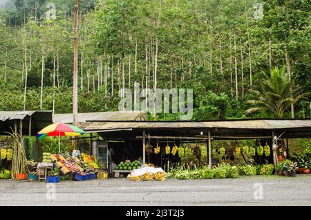 Straßenmarkt mit tropischen Obstständen an der Via Colectora Cuenca-Puerto Inca (E582) in Tamarindo und Cacao Loma, der Grenze zwischen Azuay und Guayas Stockfoto