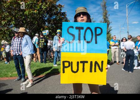 Melbourne, Australien. 10. April 2022. Eine Frau hält ein Schild mit der Aufschrift „Stoppt Putin“ bei einer Kundgebung für den Frieden in der Ukraine in Melbourne. Quelle: Jay Kogler/Alamy Live News Stockfoto