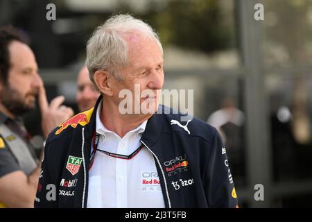 Albert Park, Melbourne, Australien. 10. April 2022. FIA Formula 1 Australian Grand Prix, Renntag: Helmut Marko im Fahrerlager Credit: Action Plus Sports/Alamy Live News Stockfoto