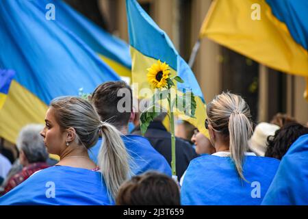 Melbourne, Australien. 10. April 2022. Pro-ukrainische Anhänger, die durch Melbourne marschieren, halten eine Sonnenblume in der Hand, ein ukrainisches Symbol des Widerstands gegen die russische Invasion. Quelle: Jay Kogler/Alamy Live News Stockfoto