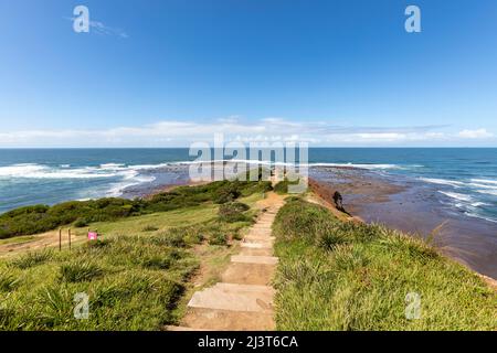 Long Reef Wasserreservat an den nördlichen Stränden von Sydney, von der Landspitze mit Blick auf den Ozean, Sydney, NSW, Australien Stockfoto