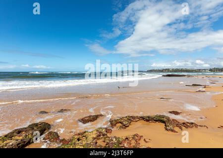 Long Reef Wasserreservat und Long Reef Strand an der Ostküste von Sydney an einem blauen Himmel Herbsttag, Sydney, NSW, Australien Stockfoto