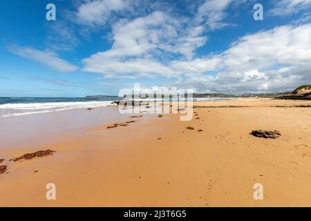 Long Reef Wasserreservat und Long Reef Strand an der Ostküste von Sydney an einem blauen Himmel Herbsttag, Sydney, NSW, Australien Stockfoto