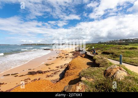 Long Reef Wasserreservat und Long Reef Strand an der Ostküste von Sydney an einem blauen Himmel Herbsttag, Sydney, NSW, Australien Stockfoto