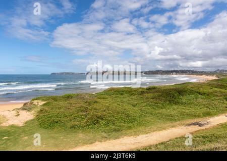 Long Reef Headland Sydney und zweihundertjähriger Wanderweg nach Süden in Richtung Dee Why, Sydney, NSW, Australien Stockfoto