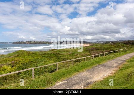 Long Reef Headland Sydney und zweihundertjähriger Wanderweg nach Süden in Richtung Dee Why, Sydney, NSW, Australien Stockfoto