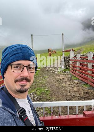 Schöne Nahaufnahme der haarigen Kühe und haarigen Bullen in den grünen Feldern der Färöer Inseln Stockfoto