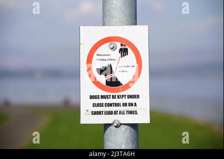 Hunde müssen an der Leine oder Leine geführt werden Schild für öffentlichen Park-Spielplatz Stockfoto