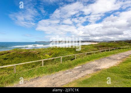 Long Reef Headland Sydney und zweihundertjähriger Wanderweg nach Süden in Richtung Dee Why, Sydney, NSW, Australien Stockfoto