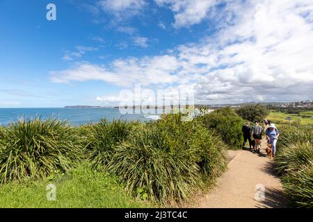 Die zweihundertjährige Wanderroute führt an einem sonnigen Herbsttag am Long Reef Beach in Sydney, Australien, vorbei Stockfoto