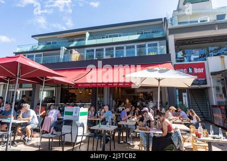 Sydney Cafe zur Mittagszeit an einem sonnigen Herbsttag in Dee Why Beach Vorort, Sydney, NSW, Australien Stockfoto