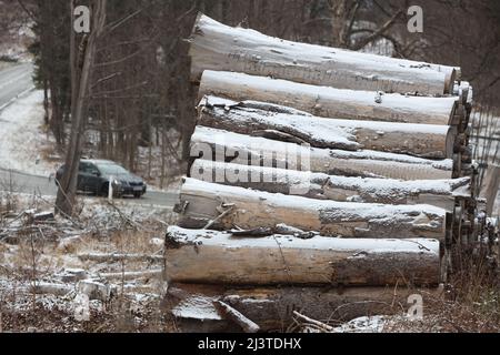 Drei Annen Hohne, Deutschland. 10. April 2022. Am Straßenrand im Harz bei drei-Annen-Hohne liegen schneebedeckte Holzscheite. In der Nacht zum Sonntag gab es weitere Schneefälle im Oberharz. Auch in den kommenden Tagen wird erwartet, dass das Wetter instabil bleibt. Quelle: Matthias Bein/dpa/Alamy Live News Stockfoto