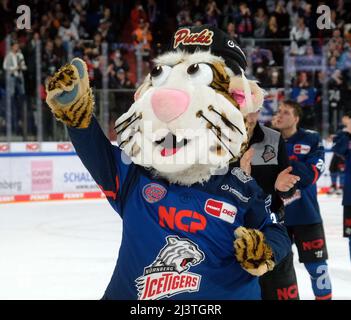 Spiel 3 v. 3: Nürnberg vs. DEG um den Einzug in die Playoffs Stockfoto