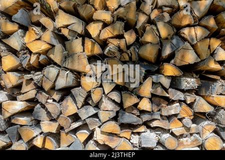 Hintergrund des gehefteten Brennholzes, das im Wald trocknet Stockfoto