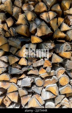 Hintergrund des gehefteten Brennholzes, das im Wald trocknet Stockfoto