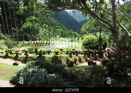 Jardin Balalta, jardin botanique de Jean-Philippe Thoze, Martinique, Fort de France, Antillen Stockfoto