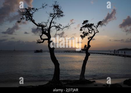 Martinique, Antillen Francaises, Saint Anne, Bord de Mer, Mer caraibes, caraibes, Strand des Club Med Stockfoto