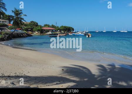 Martinique, Antillen Francaises, Saint Anne, Bord de Mer, Mer caraibes, caraibes Stockfoto