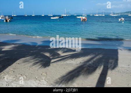 Martinique, Antillen Francaises, Saint Anne, Bord de Mer, Mer caraibes, caraibes Stockfoto