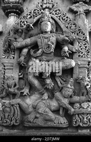 Der kompakte und verzierte Veeranarayana Tempel, Chennakeshava Tempelkomplex, Chennakeshava Tempel, Belur, Karnataka, Indien. Stockfoto