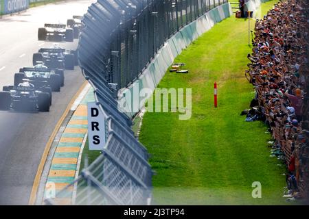 Melbourne, Australien. 10. April 2022. Fans, F1 Grand Prix of Australia auf dem Melbourne Grand Prix Circuit am 10. April 2022 in Melbourne, Australien. (Foto von HIGH TWO) Quelle: dpa/Alamy Live News Stockfoto