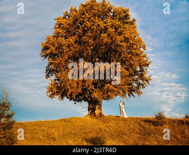 Ein liebevolles Paar steht unter einem majestätischen gelben Baum in einer bergigen Gegend. Herbst. Hochzeit im rustikalen Stil Stockfoto