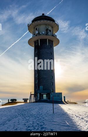 Entdeckungstour auf dem Feldberg im Schwarzwald - Baden-Württemberg - Deutschland Stockfoto