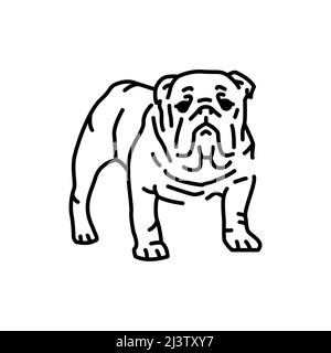 Symbol für englische Bulldog-Farblinie. Hunderasse. Piktogramm für Webseite, mobile App, Promo. Stock Vektor