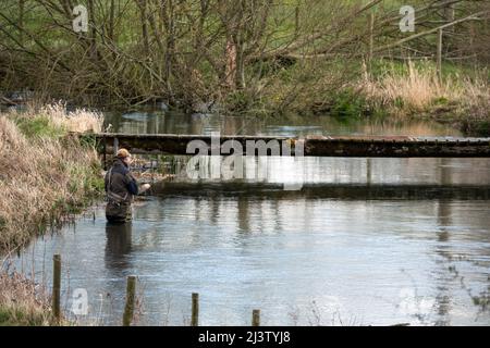 Ein Mann in Brustwarze steht im Fluss Avon, Wiltshire Fliegenfischen für Bachforelle Stockfoto