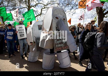 London, Großbritannien. 09. April 2022. Demonstranten, die in einem Elefantenkostüm gekleidet waren, um die Verzögerung der Maßnahmen der Regierung bei der Bekämpfung der Klimanotlage zu verspotten, die während der Demonstration zu beobachten war. Die Protestgruppe „Extinction Rebellion“ ruft zu einer neuen Runde von Protesten über die Osterferien auf, um die Beendigung der Nutzung fossiler Brennstoffe voranzutreiben. Die Demonstranten fordern ein sofortiges Ende aller neuen Investitionen in fossile Brennstoffe, da die Abhängigkeit von fossilen Brennstoffen den Krieg zwischen Russland und der Ukraine finanziert, zur Lebenshaltungskrise beiträgt und zum Zusammenbruch des Klimas führt. Kredit: SOPA Images Limited/Alamy Live Nachrichten Stockfoto