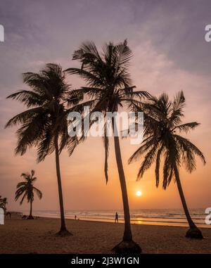 Schöner Sonnenuntergang durch die Palmen am Kotu Strand Senegambia an der westafrikanischen Küste von Gambia Stockfoto